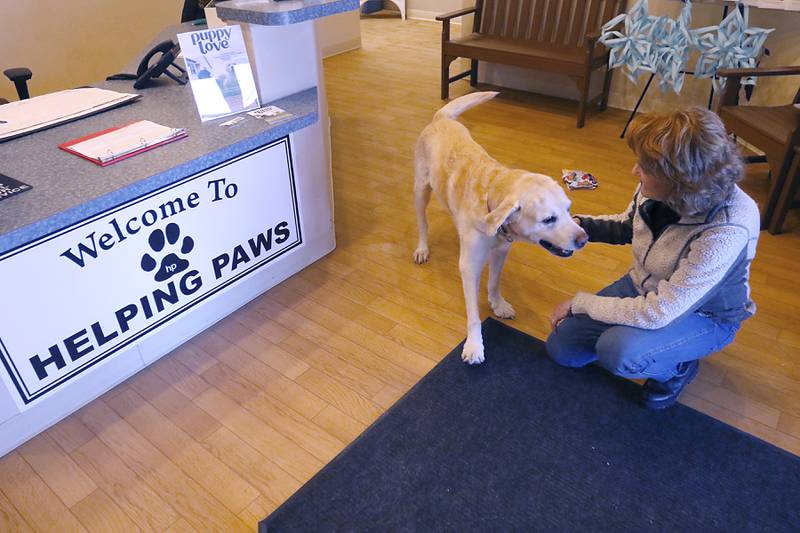 Local filmmaker Gail Gilbert with Scout as she visits with the staff of Helping Paws Animal Shelter on Wednesday, Jan. 15, 2025, to talk about her film "Puppy Love" that will be showing in Classic Cinema theaters in Fox Lake, Woodstock and Carpentersville. Scout is one of the dogs in the film.
