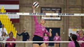 Volleyball: Sterling seniors go out in style at Musgrove