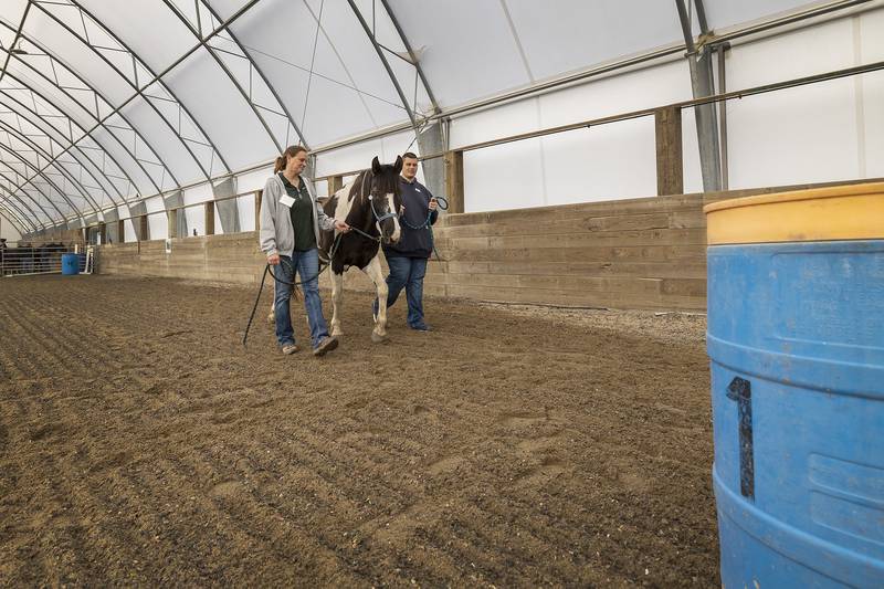 Instructor Kim Paprocki and student Riley walk a horse around the ring Tuesday, May 6, 2025, at Pegasus.