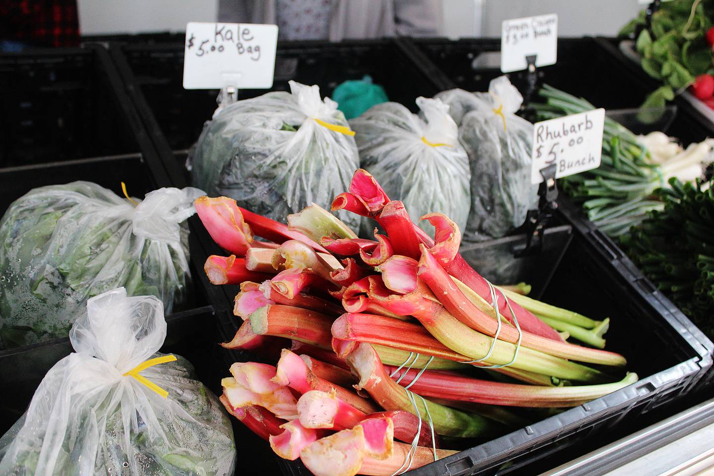 John and Janice Schell of Chadwick have been selling their produce at local farmers markets for around 25 years. They sell at markets in Lanark, Milledgeville and Sterling.