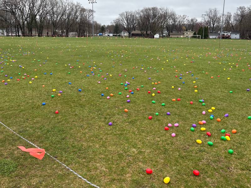 Some of the 8,000 Easter eggs in a field before an Easter Egg Hunt at Sunnyside Memorial Park in Johnsburg Saturday, April 4, 2026.