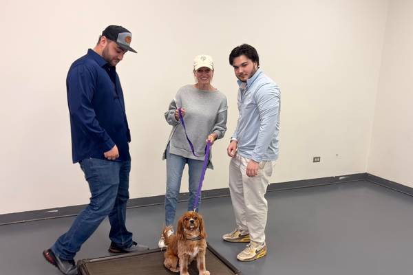Vinnie’s day out: Shaw Local reporter’s dog tries out Underdog Academy in Algonquin