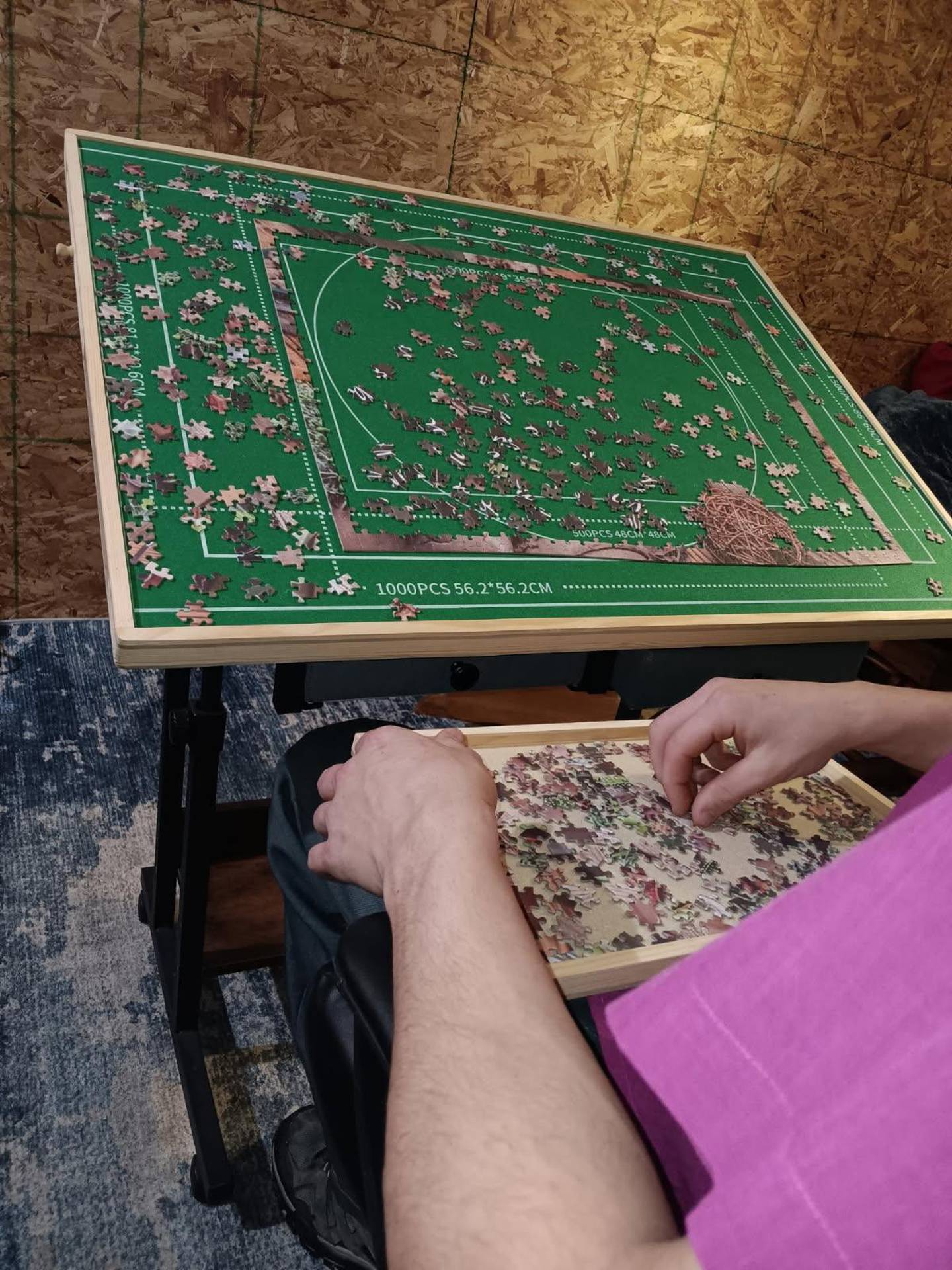 Verena works on a puzzle.