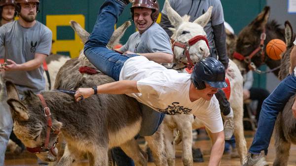 Photos: Hooves on the hardwood as donkey basketball takes over Seneca