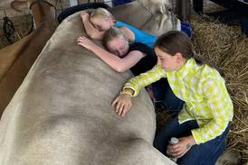 Ogle County 4-H Fair opens July 30
