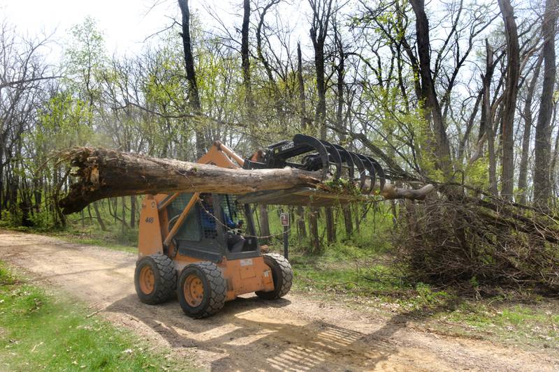 Garrett Koch, a maintenance worker for the Ogle County Sheriff's Department, uses a skid steer to move a dead tree to a collection pile during a clean up of Weld Park on Friday, April 28. Volunteers and county officials worked together to spruce up the only county-owned park, located south of Byron and Stillman Valley.