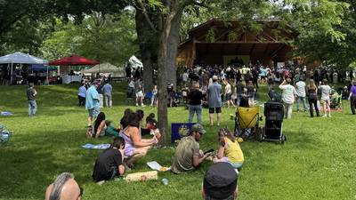 Morris turns out for punk rock at fForest Fest 2025
