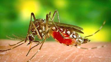 West Nile virus-positive mosquitoes collected in Granville