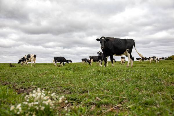 Congress advances whole milk bill