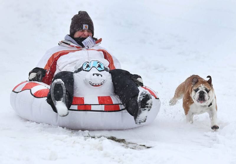 Emily Weller, of DeKalb, is chased by her English bulldog Max as she careens down the sled hill Tuesday, Jan. 9, 2024, at Hopkins Park in DeKalb. Several inches of heavy, wet snow Tuesday was a headache for some and fun for others.