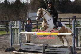Crystal Lake math teacher aims to inspire, whether in classroom or horse-riding arena