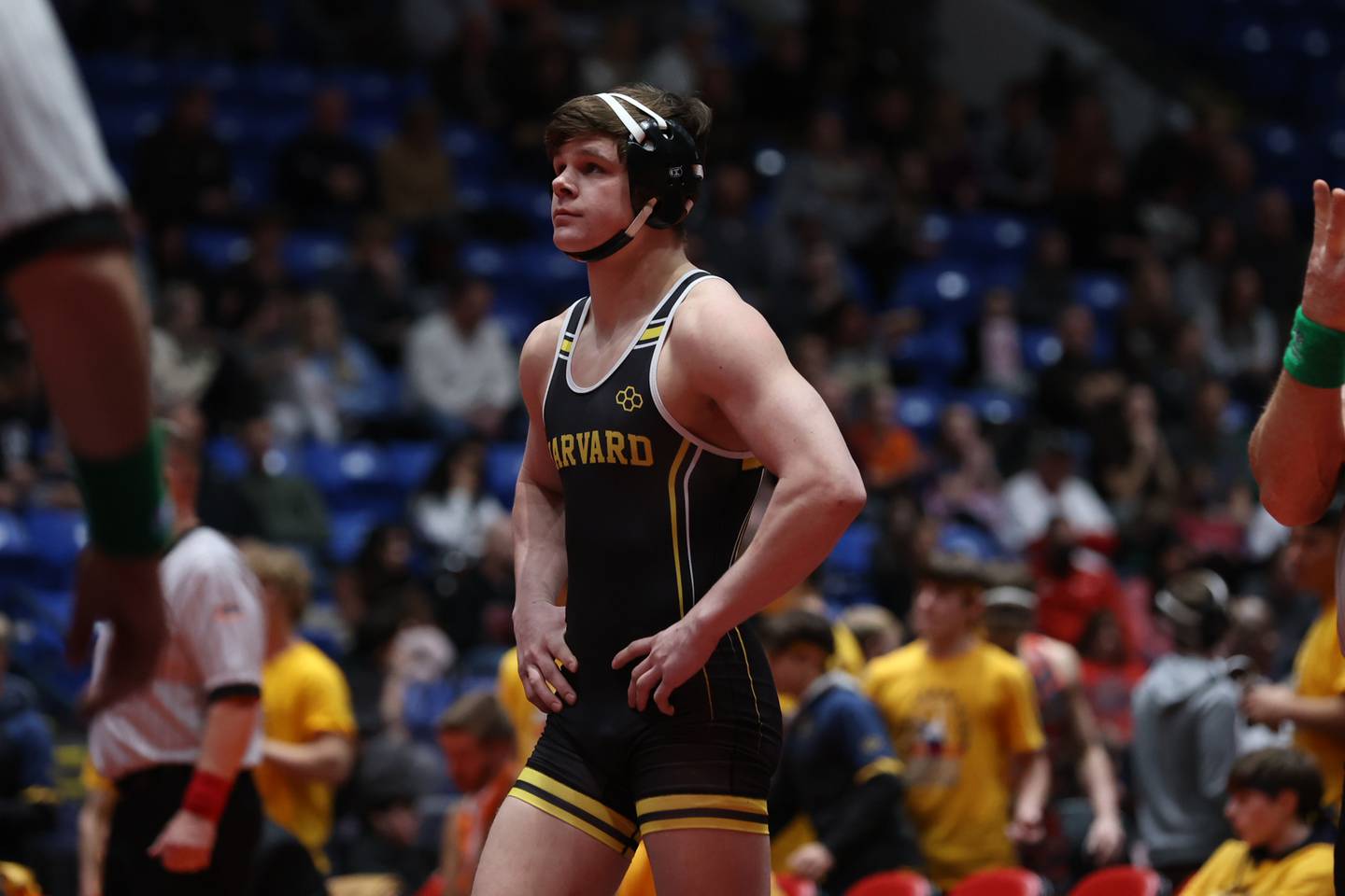 Harvard’s Bailey Livdahl waits to resume the match against Unity’s Nat Nosier in the Class 1A 160 pound dual team 3rd place match at Grossinger Motor Arena in Bloomington. Saturday, Feb. 26, 2022, in Champaign.