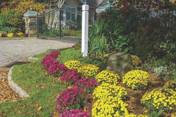 Extend fall gardening plans with Illinois Extension Four Seasons webinars
