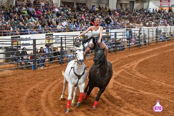 The most-read entertainment stories in northern Illinois in 2025