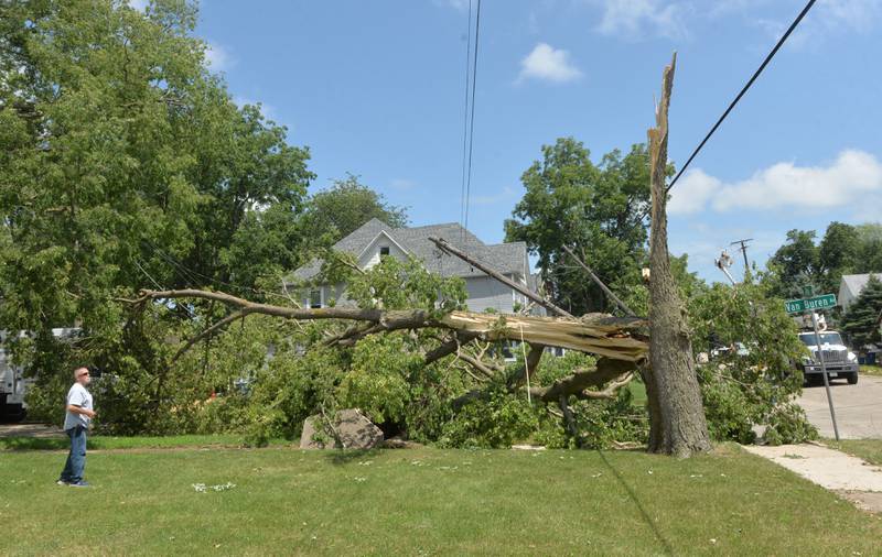 A man looks over the damage caused when a large tree was blown over and electric poles damaged by Friday's early morning storm at the corner of Van Buren and W. Fourth Street in Dixon.