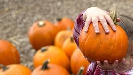 Hawthorn to host pumpkin-recycling event