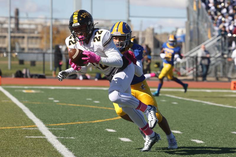 Joliet West’s LaDainian Tucker pulls in a pass against Joliet Central on Saturday.