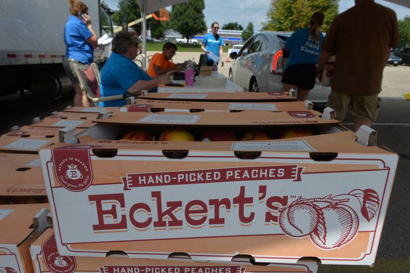 Dixon Kiwanis members work their distribution line during the club's peach distribution day in a Dixon High School parking lot on Thursday, Aug. 10, 2023.