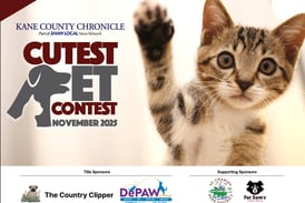 Kane County November Cutest Pet Contest