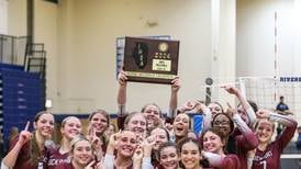 Lockport rallies past Downers Grove South to reach first volleyball state tournament in 28 years