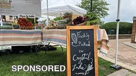 The Downtown Crystal Lake Farmers Market is back in Depot Park!
