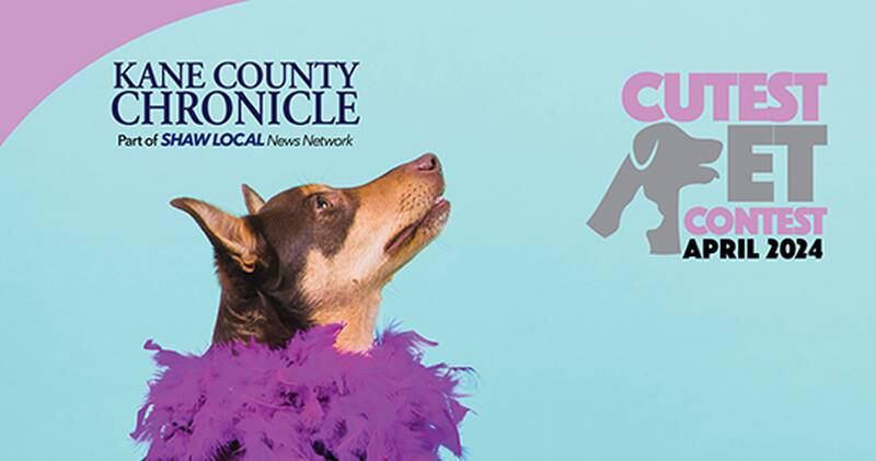 KCC April Pet promo