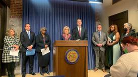 Illinois lawmakers look to address organized retail crime