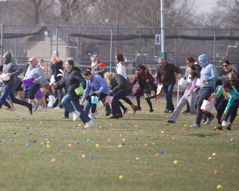 Participants run for the eggs  at the Adult Easter Egg Hunt on Saturday, March 15, 2025 at Berens Park in Elmhurst.