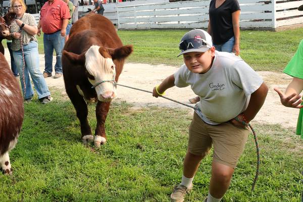 Photos: Daily Chronicle Photos of the Week for July 28 - Aug. 2
