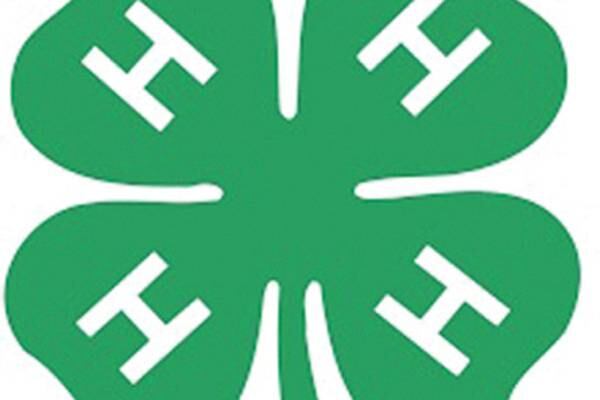 Ogle County 4-H members supporting food insecurity and patients with service projects