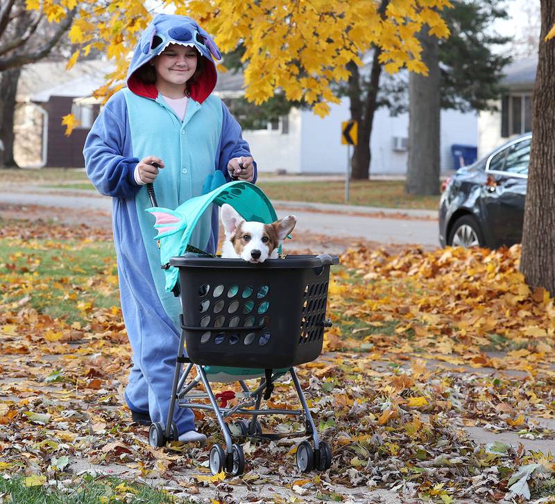 Photos DeKalb neighborhoods fill with costumed kids on Halloween