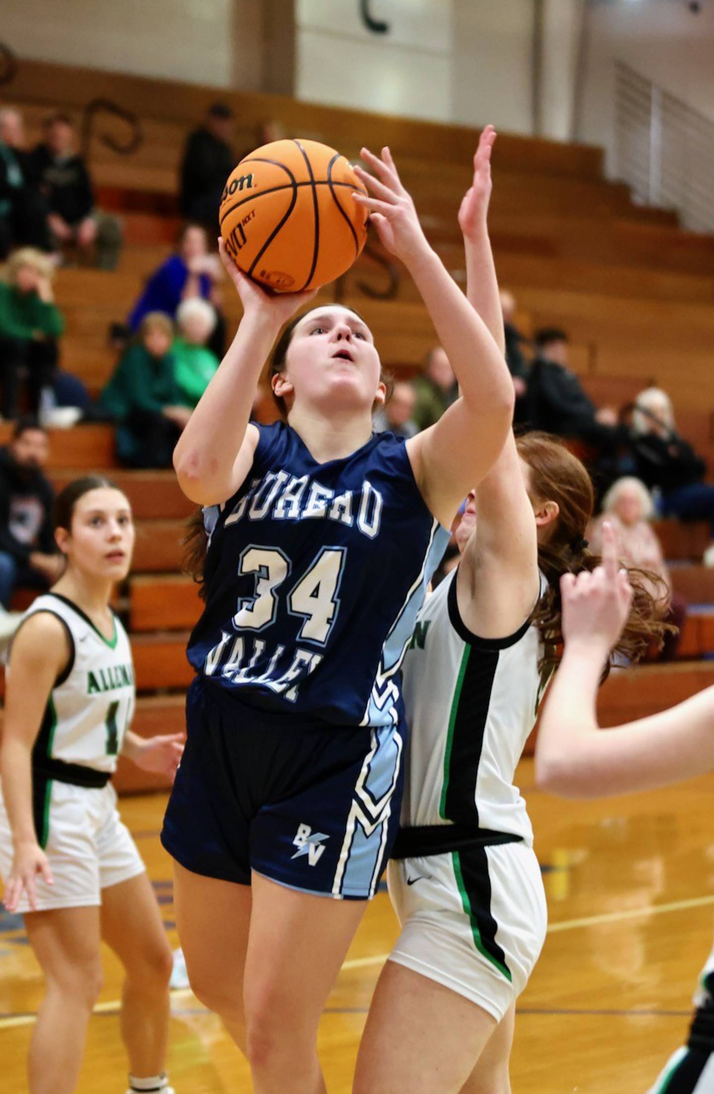 Bureau Valley freshman Brynley Doty  shoots against Alleman in regional semifinal play Tuesday at Princeton. The Pioneers won 54-26.