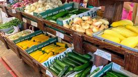 5 Things to Do: Twin Cities Farmers Market, ‘Click Clack Moo’ at The Dixon Theatre and more 