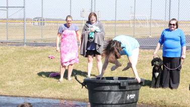 Serena Polar Plunge raises $9K for Special Olympics Illinois