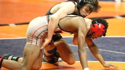 Boys wrestling: All-Fox Valley Conference team announced 