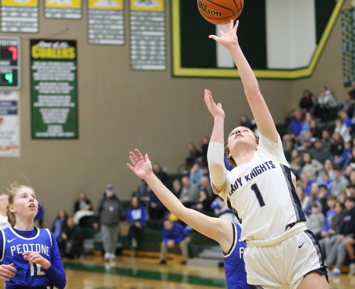 Fieldcrest's Carolyn Megrow sneaks by Peotone's Ashley Renwick to score a bucket during the Class 2A Sectional final on Thursday, Feb. 20, 2023 at Coal City High School.