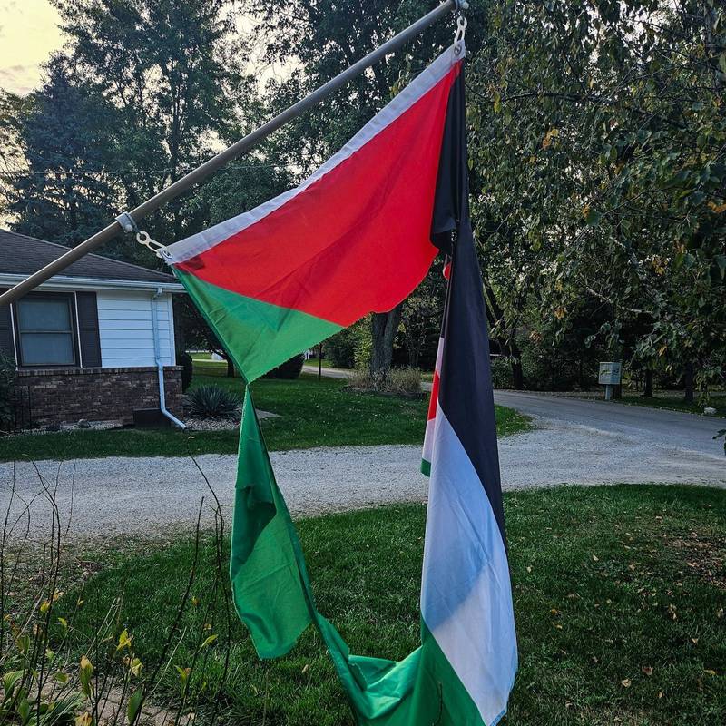 A photo of a ripped flag of Palestine in Lockport Township.