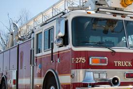 Sterling home damaged by fire, pets perish