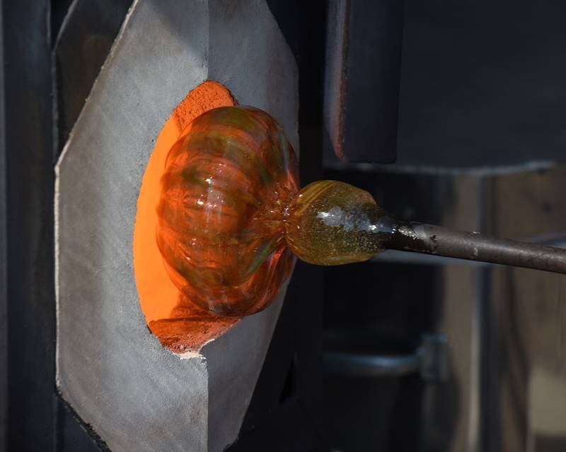 A nearly-complete glass pumpkin is being made by Matthew Urban, who is based in Bloomington-Normal, during a demonstration at the Glass Pumpkin Patch event at the Morton Arboretum in Lisle on Saturday, Oct. 12, 2024.