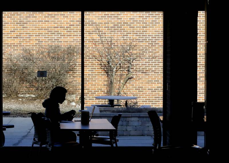 A student  studies on Thursday, Feb, 6, 2025, at McHenry County College.