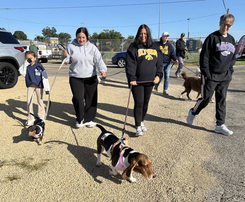 Basset hound Hattie leads her owner, Chris Wells, at the start of the 1-mile walk at Polo High School’s Doggy Dash on Saturday, Sept. 6, 2025.