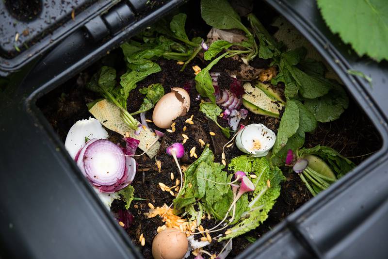 Join a naturalist to learn about composting benefits, types, ingredients, do’s and don’ts and community options on Wednesday, Nov. 1 at Plum Creek Nature Center in Will County.