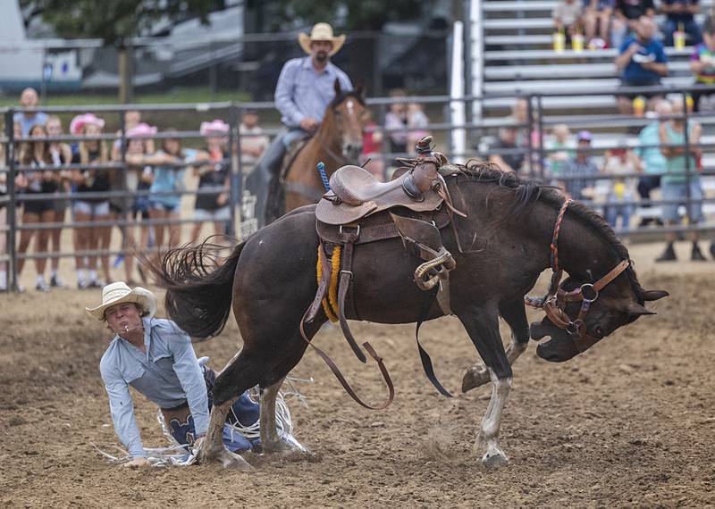 Cowboy Dale Showers picks himself up after being bucked from “Weekend at Bernie’s” Wednesday, August 14, 2024, at the Whiteside County Fair in Morrison.