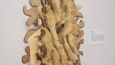 Pollinators take center stage in Dunn Museum exhibition