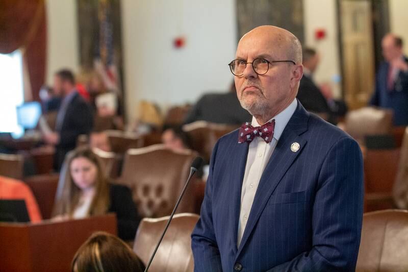 State Sen. Dave Koehler, D-Peoria, is pictured on the floor of the Illinois Senate last year.
