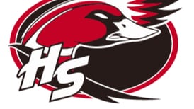 Henry-Senachwine snaps 4-game losing streak: Wednesdays La Salle NewsTribune Sports Roundup