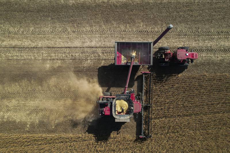 FILE - A combine, bottom, unloads grain into a wagon, top, while harvesting soybeans, Oct. 10, 2023, at a farm near Allerton, Ill.