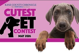 Kane County May Cutest Pet