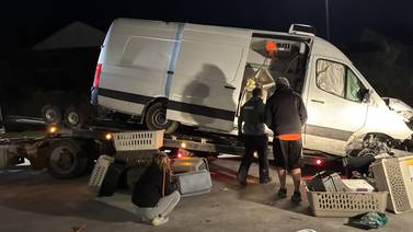 Geneva pet rescue van crashed in Indiana with 63 animals on board. Here’s how locals came to the rescue