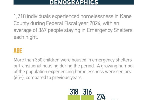 Over 1,700 homeless in Kane County in 2024, new report says